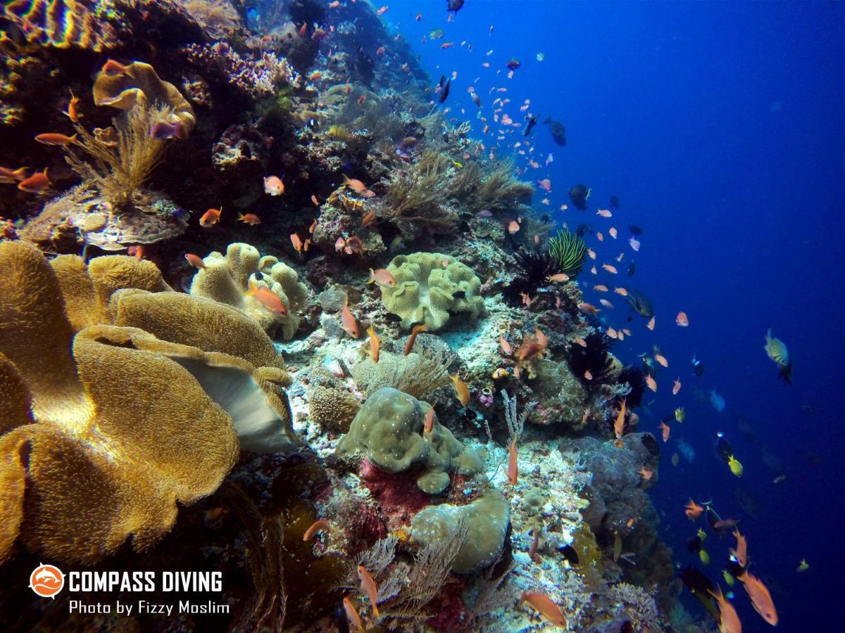Compass Diving Resort Beloi Eksteriør billede
